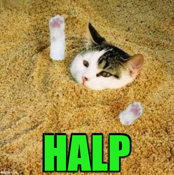 HALP | image tagged in cats | made w/ Imgflip meme maker