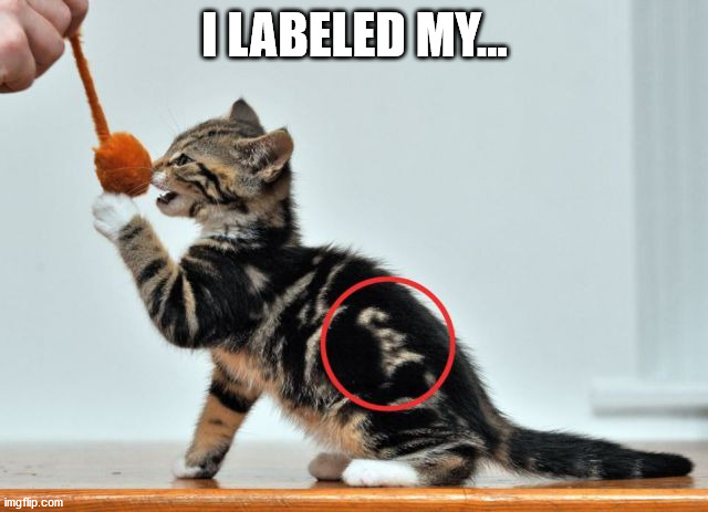 I LABELED MY... | image tagged in cats | made w/ Imgflip meme maker