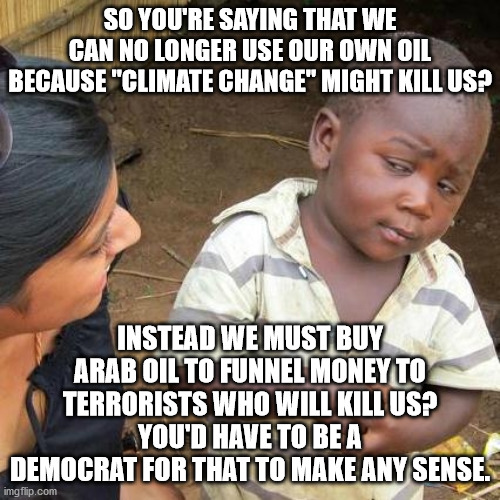 What is fake President Biden thinking?  He clearly has everyone's, except America's, best interest in mind. | SO YOU'RE SAYING THAT WE CAN NO LONGER USE OUR OWN OIL BECAUSE "CLIMATE CHANGE" MIGHT KILL US? INSTEAD WE MUST BUY ARAB OIL TO FUNNEL MONEY TO TERRORISTS WHO WILL KILL US?
YOU'D HAVE TO BE A DEMOCRAT FOR THAT TO MAKE ANY SENSE. | image tagged in stupid democrats,terrorists,foreign oil | made w/ Imgflip meme maker