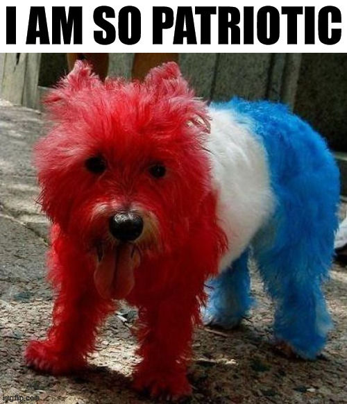 I AM SO PATRIOTIC | image tagged in dogs | made w/ Imgflip meme maker