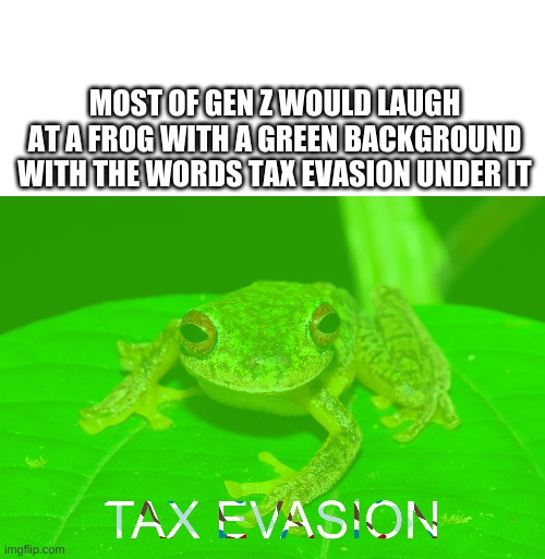 True? | MOST OF GEN Z WOULD LAUGH AT A FROG WITH A GREEN BACKGROUND WITH THE WORDS TAX EVASION UNDER IT | image tagged in blank white template | made w/ Imgflip meme maker