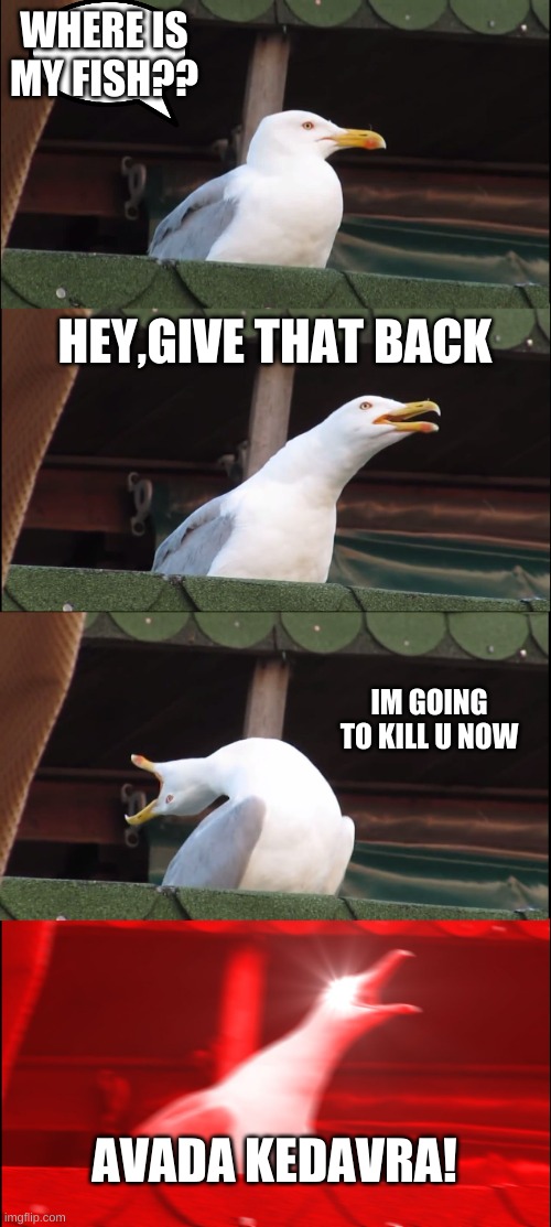 Inhaling Seagull | WHERE IS MY FISH?? HEY,GIVE THAT BACK; IM GOING TO KILL U NOW; AVADA KEDAVRA! | image tagged in memes,inhaling seagull | made w/ Imgflip meme maker