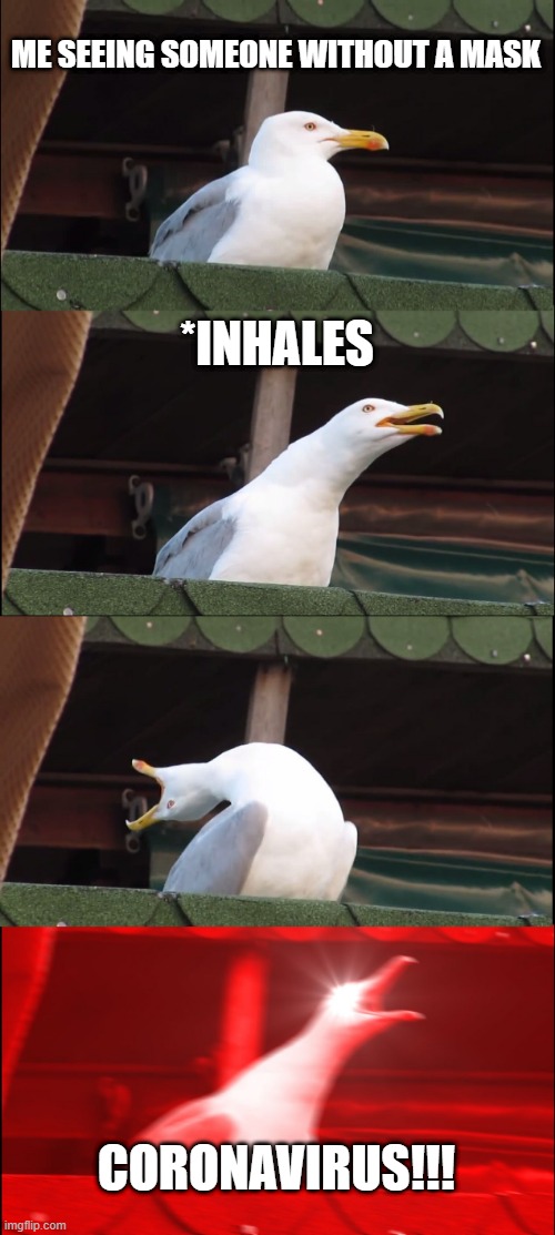 Inhaling Seagull Meme | ME SEEING SOMEONE WITHOUT A MASK; *INHALES; CORONAVIRUS!!! | image tagged in memes,inhaling seagull | made w/ Imgflip meme maker