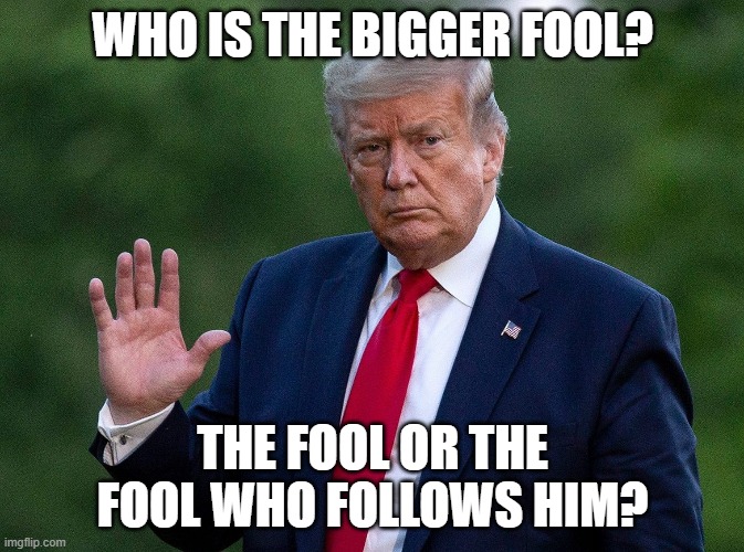Trump the Fool |  WHO IS THE BIGGER FOOL? THE FOOL OR THE FOOL WHO FOLLOWS HIM? | image tagged in donald trump,fool,politics | made w/ Imgflip meme maker