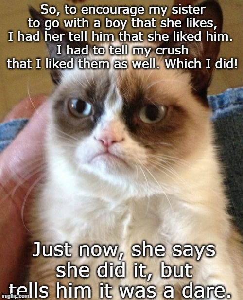 I swear to....*sisters name* | So, to encourage my sister to go with a boy that she likes, I had her tell him that she liked him. 
I had to tell my crush that I liked them as well. Which I did! Just now, she says she did it, but tells him it was a dare. | image tagged in memes,grumpy cat | made w/ Imgflip meme maker