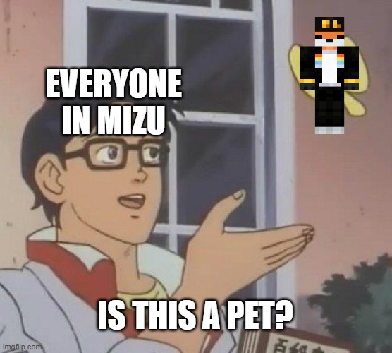 IS THIS A PET? | EVERYONE IN MIZU; IS THIS A PET? | image tagged in minecraft | made w/ Imgflip meme maker