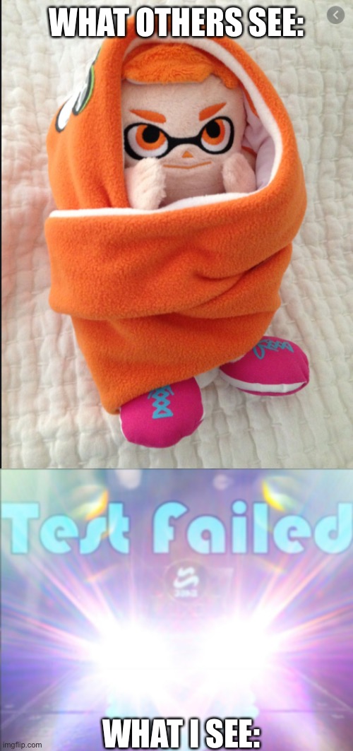 WHAT OTHERS SEE: WHAT I SEE: | image tagged in woomy in a blanket,c q cumber test failed | made w/ Imgflip meme maker