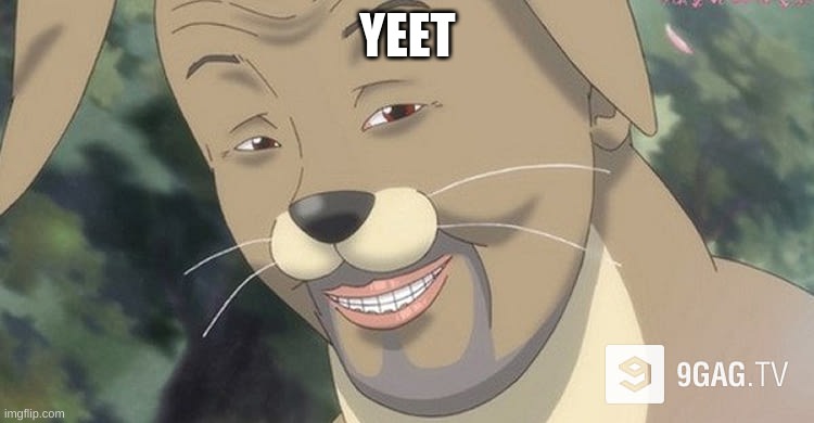 Weird anime hentai furry | YEET | image tagged in weird anime hentai furry | made w/ Imgflip meme maker