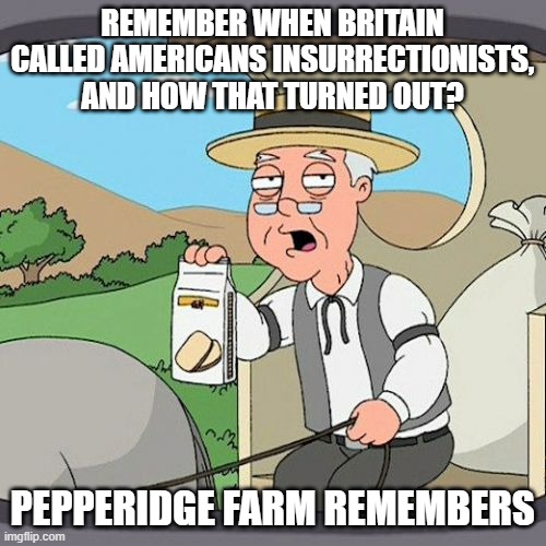 Pepperidge Farm Remembers | REMEMBER WHEN BRITAIN CALLED AMERICANS INSURRECTIONISTS, AND HOW THAT TURNED OUT? PEPPERIDGE FARM REMEMBERS | image tagged in memes,pepperidge farm remembers | made w/ Imgflip meme maker