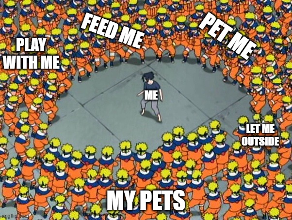 pets vs humans | FEED ME; PET ME; PLAY WITH ME; ME; LET ME OUTSIDE; MY PETS | image tagged in naruto clone jutsu | made w/ Imgflip meme maker