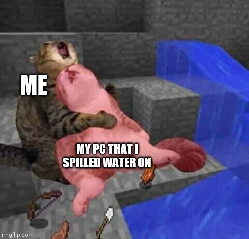 This is a big sad | ME; MY PC THAT I SPILLED WATER ON | image tagged in dead minecraft cat meme | made w/ Imgflip meme maker