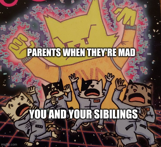 Unstable Kitty | PARENTS WHEN THEY'RE MAD; YOU AND YOUR SIBILINGS | image tagged in cats,space | made w/ Imgflip meme maker