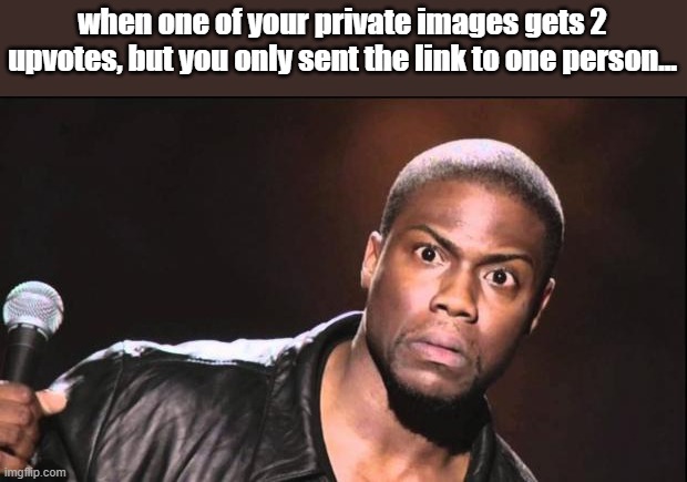 kevin heart idiot | when one of your private images gets 2 upvotes, but you only sent the link to one person... | image tagged in kevin heart idiot | made w/ Imgflip meme maker