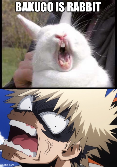 BAKUGO IS RABBIT | image tagged in bakugo's what did you say | made w/ Imgflip meme maker