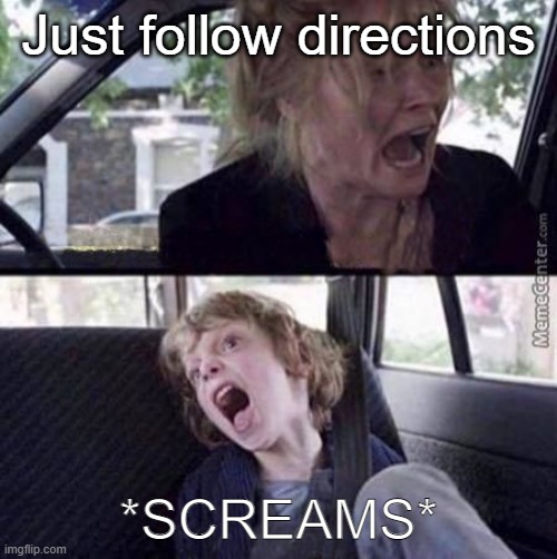 just follow directions | Just follow directions; *SCREAMS* | image tagged in why can't you just be normal blank | made w/ Imgflip meme maker