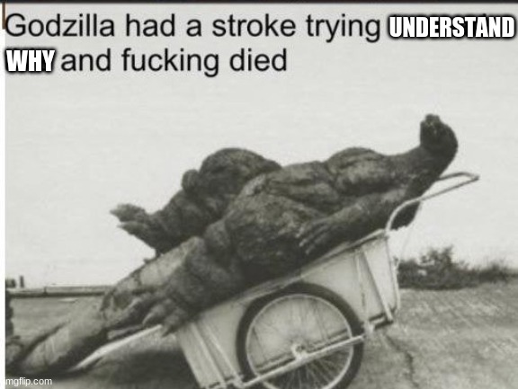 Godzilla | UNDERSTAND WHY | image tagged in godzilla | made w/ Imgflip meme maker