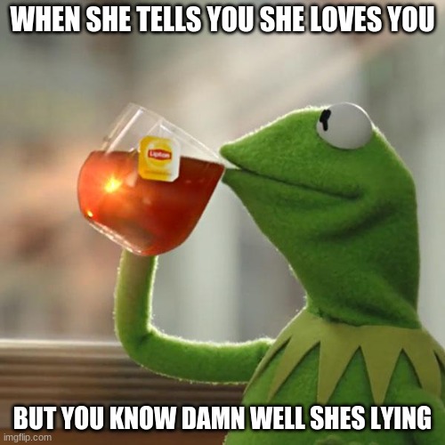 But That's None Of My Business | WHEN SHE TELLS YOU SHE LOVES YOU; BUT YOU KNOW DAMN WELL SHES LYING | image tagged in memes,but that's none of my business,kermit the frog | made w/ Imgflip meme maker