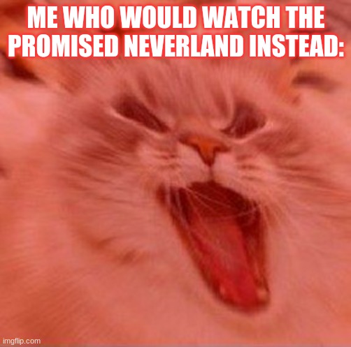 When the trees start speaking | ME WHO WOULD WATCH THE PROMISED NEVERLAND INSTEAD: | image tagged in when the trees start speaking | made w/ Imgflip meme maker