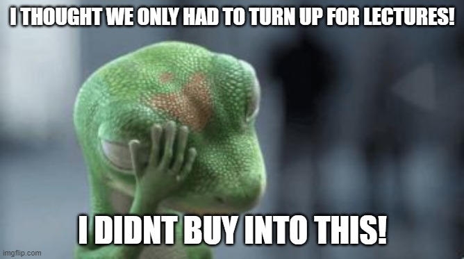 lecture listening | I THOUGHT WE ONLY HAD TO TURN UP FOR LECTURES! I DIDNT BUY INTO THIS! | image tagged in dispair lizard | made w/ Imgflip meme maker