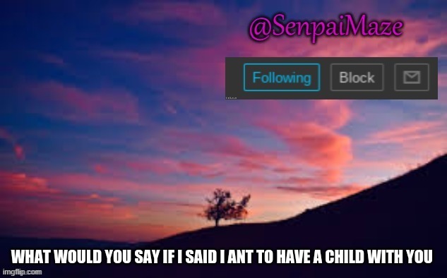 idfk im bored lul | WHAT WOULD YOU SAY IF I SAID I ANT TO HAVE A CHILD WITH YOU | image tagged in sunset | made w/ Imgflip meme maker