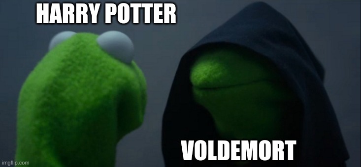 I just read the harry potter seiries forgive me | HARRY POTTER; VOLDEMORT | image tagged in memes,evil kermit | made w/ Imgflip meme maker