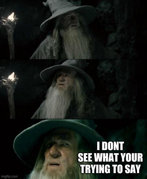 Confused Gandalf Meme | I DONT SEE WHAT YOUR TRYING TO SAY | image tagged in memes,confused gandalf | made w/ Imgflip meme maker