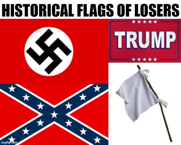FLAGS OF LOSERS | HISTORICAL FLAGS OF LOSERS | image tagged in history,flags,losers,facist,idiot,racist | made w/ Imgflip meme maker