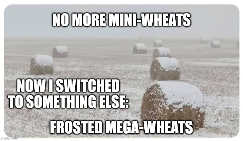 Mega -Wheats | NO MORE MINI-WHEATS; NOW I SWITCHED TO SOMETHING ELSE:; FROSTED MEGA-WHEATS | image tagged in haiku,cereal,hay,frosted flakes,food | made w/ Imgflip meme maker