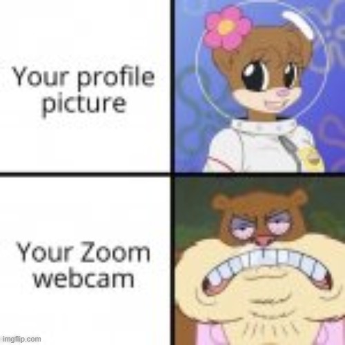 true it is | image tagged in lol | made w/ Imgflip meme maker