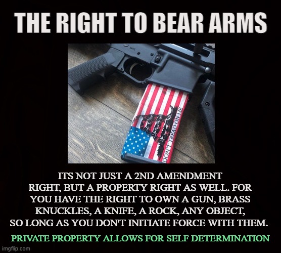PROPERTY RIGHTS | THE RIGHT TO BEAR ARMS; ITS NOT JUST A 2ND AMENDMENT RIGHT, BUT A PROPERTY RIGHT AS WELL. FOR YOU HAVE THE RIGHT TO OWN A GUN, BRASS KNUCKLES, A KNIFE, A ROCK, ANY OBJECT, SO LONG AS YOU DON'T INITIATE FORCE WITH THEM. PRIVATE PROPERTY ALLOWS FOR SELF DETERMINATION | image tagged in 2nd amendment,guns,rifle,self defense,bill of rights,private property | made w/ Imgflip meme maker