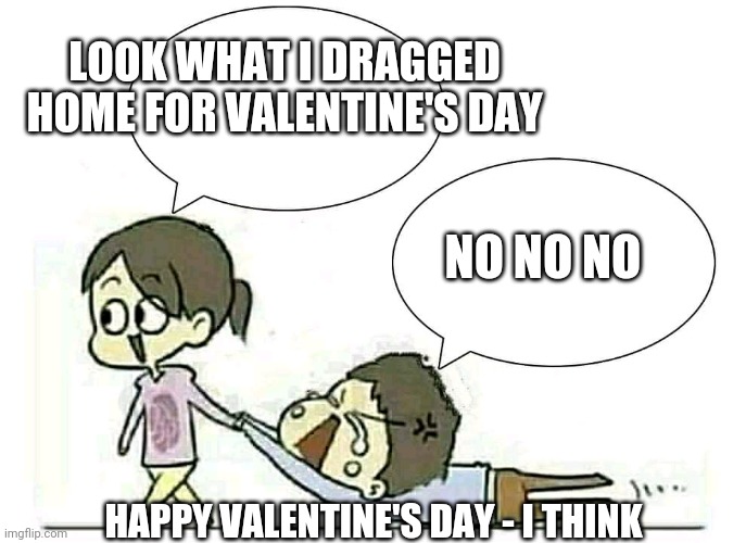 Valentine's Day | LOOK WHAT I DRAGGED HOME FOR VALENTINE'S DAY; NO NO NO; HAPPY VALENTINE'S DAY - I THINK | image tagged in girl-boy meme,happy valentine's day,love,puppy love,funny,girl power | made w/ Imgflip meme maker