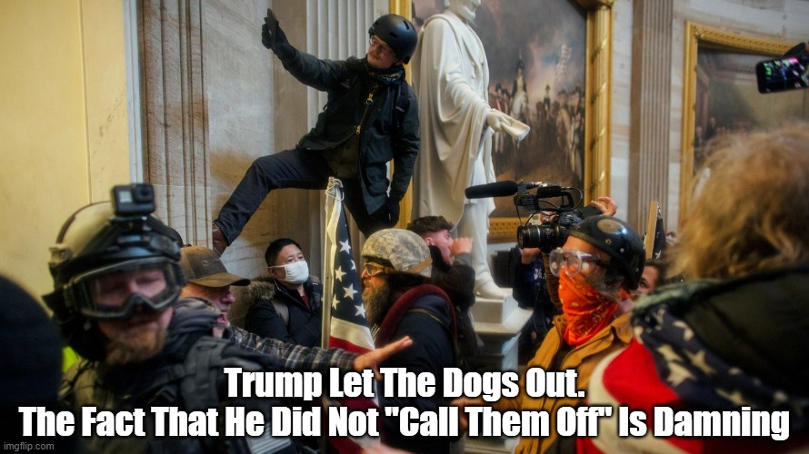 "Trump Let The Dogs Out. The Fact That He Did Not..." | Trump Let The Dogs Out.
The Fact That He Did Not "Call Them Off" Is Damning | image tagged in trump,sedition,insurrection,january 6 2021 | made w/ Imgflip meme maker