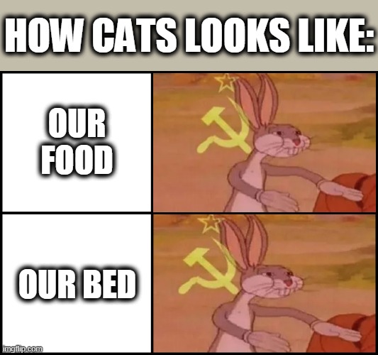 Capitalist and communist | HOW CATS LOOKS LIKE:; OUR FOOD; OUR BED | image tagged in capitalist and communist | made w/ Imgflip meme maker