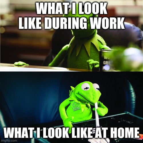 Kermit The Frog | WHAT I LOOK LIKE DURING WORK; WHAT I LOOK LIKE AT HOME | image tagged in kermit the frog | made w/ Imgflip meme maker