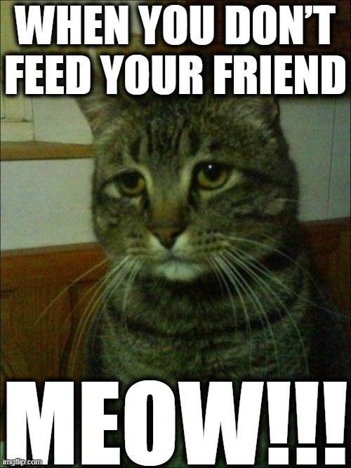 Depressed Cat Meme | WHEN YOU DON’T
FEED YOUR FRIEND; MEOW!!! | image tagged in memes,depressed cat | made w/ Imgflip meme maker