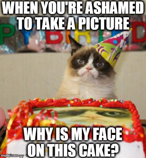 Grumpy Cat Birthday | WHEN YOU'RE ASHAMED
TO TAKE A PICTURE; WHY IS MY FACE
ON THIS CAKE? | image tagged in memes,grumpy cat birthday,grumpy cat | made w/ Imgflip meme maker