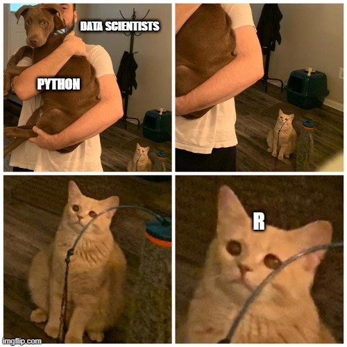 Sad Cat guy Holding dog | DATA SCIENTISTS; PYTHON; R | image tagged in sad cat guy holding dog | made w/ Imgflip meme maker