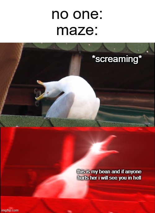 Screaming bird | no one:
maze:; *screaming*; this is my bean and if anyone hurts her i will see you in hell | image tagged in screaming bird | made w/ Imgflip meme maker