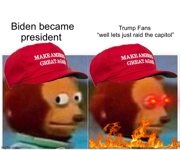 Monkey Puppet | Biden became president; Trump Fans 
“well lets just raid the capitol” | image tagged in memes,monkey puppet | made w/ Imgflip meme maker
