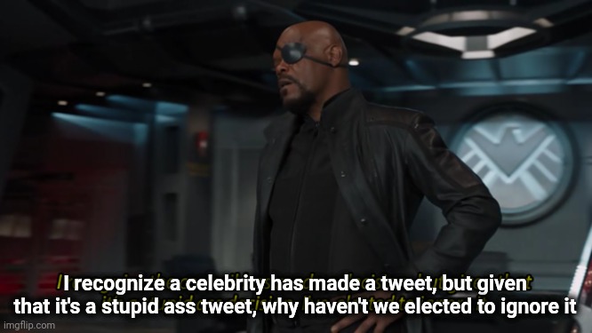 Celebrity Tweets | I recognize a celebrity has made a tweet, but given that it's a stupid ass tweet, why haven't we elected to ignore it | image tagged in politics,disney plus | made w/ Imgflip meme maker