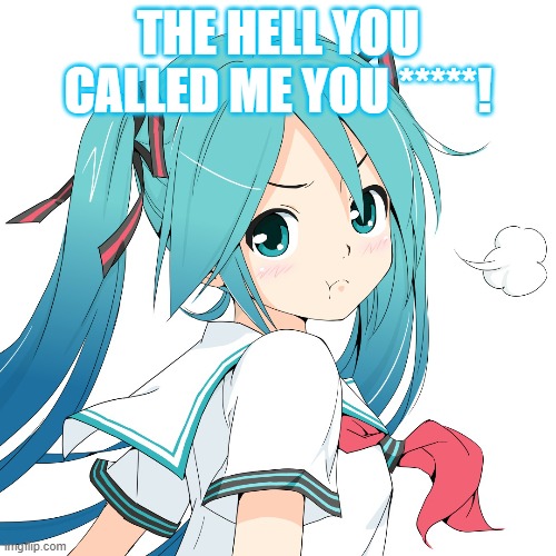 Mad Miku | THE HELL YOU CALLED ME YOU *****! | image tagged in hatsune miku,memes | made w/ Imgflip meme maker