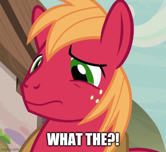 WHAT THE?! | made w/ Imgflip meme maker