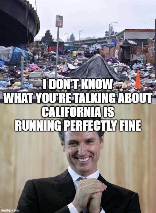 I DON'T KNOW WHAT YOU'RE TALKING ABOUT
CALIFORNIA IS RUNNING PERFECTLY FINE | image tagged in california cities,scheming gavin newsom | made w/ Imgflip meme maker