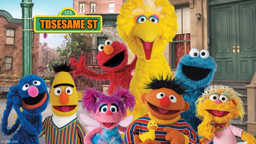 Sesame Street Blank Sign | TDSESAME ST | image tagged in sesame street blank sign | made w/ Imgflip meme maker