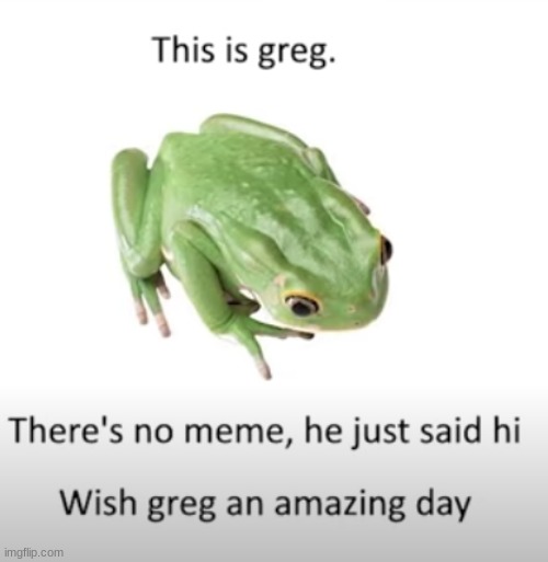 Say hi to Greg | image tagged in good guy greg,frog | made w/ Imgflip meme maker