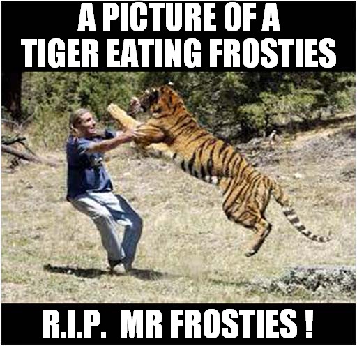 Frosties... Not So Greaaaat Anymore ! | A PICTURE OF A TIGER EATING FROSTIES; R.I.P.  MR FROSTIES ! | image tagged in fun,tigers,frosties | made w/ Imgflip meme maker