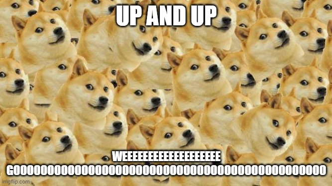Multi Doge |  UP AND UP; WEEEEEEEEEEEEEEEEEEE GOOOOOOOOOOOOOOOOOOOOOOOOOOOOOOOOOOOOOOOOOOOOOO | image tagged in memes,multi doge | made w/ Imgflip meme maker