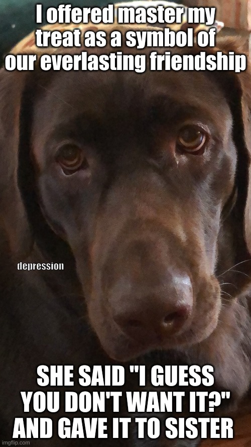 Sad Doggo | I offered master my treat as a symbol of our everlasting friendship; depression; SHE SAID "I GUESS YOU DON'T WANT IT?" AND GAVE IT TO SISTER | image tagged in doggo,dog | made w/ Imgflip meme maker