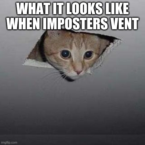 Ceiling Cat | WHAT IT LOOKS LIKE WHEN IMPOSTERS VENT | image tagged in memes,ceiling cat | made w/ Imgflip meme maker