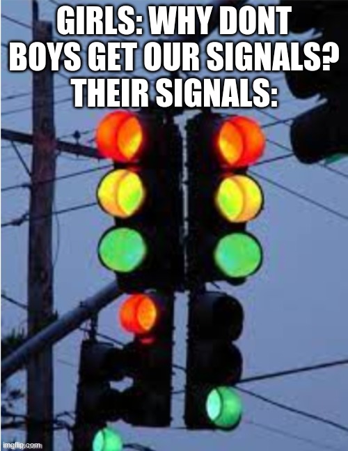 MmMmMMmMmmM | GIRLS: WHY DONT BOYS GET OUR SIGNALS?
THEIR SIGNALS: | image tagged in poop | made w/ Imgflip meme maker